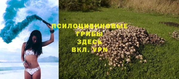 мяу мяу мука Аркадак