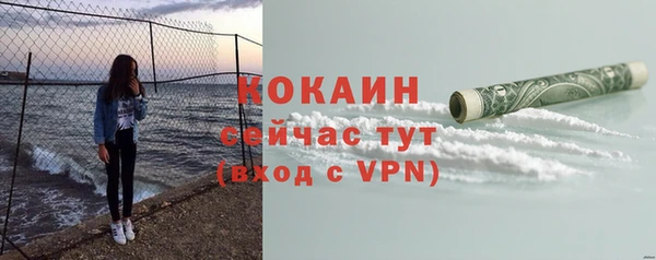 мяу мяу мука Аркадак